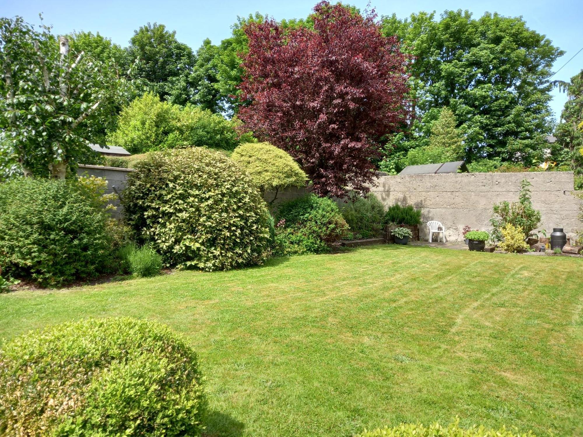 Carraig Rua Bed & Breakfast Kilkenny Dış mekan fotoğraf