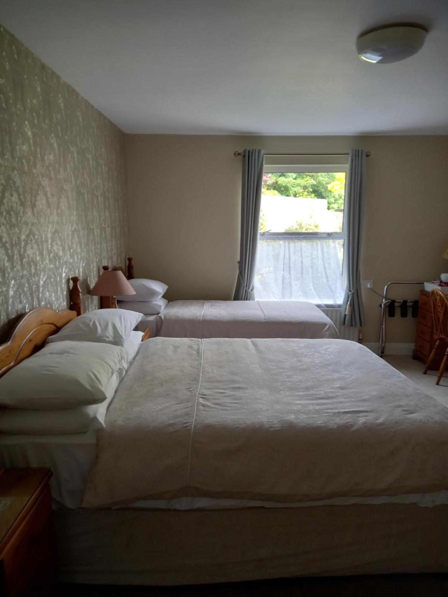 Carraig Rua Bed & Breakfast Kilkenny Dış mekan fotoğraf