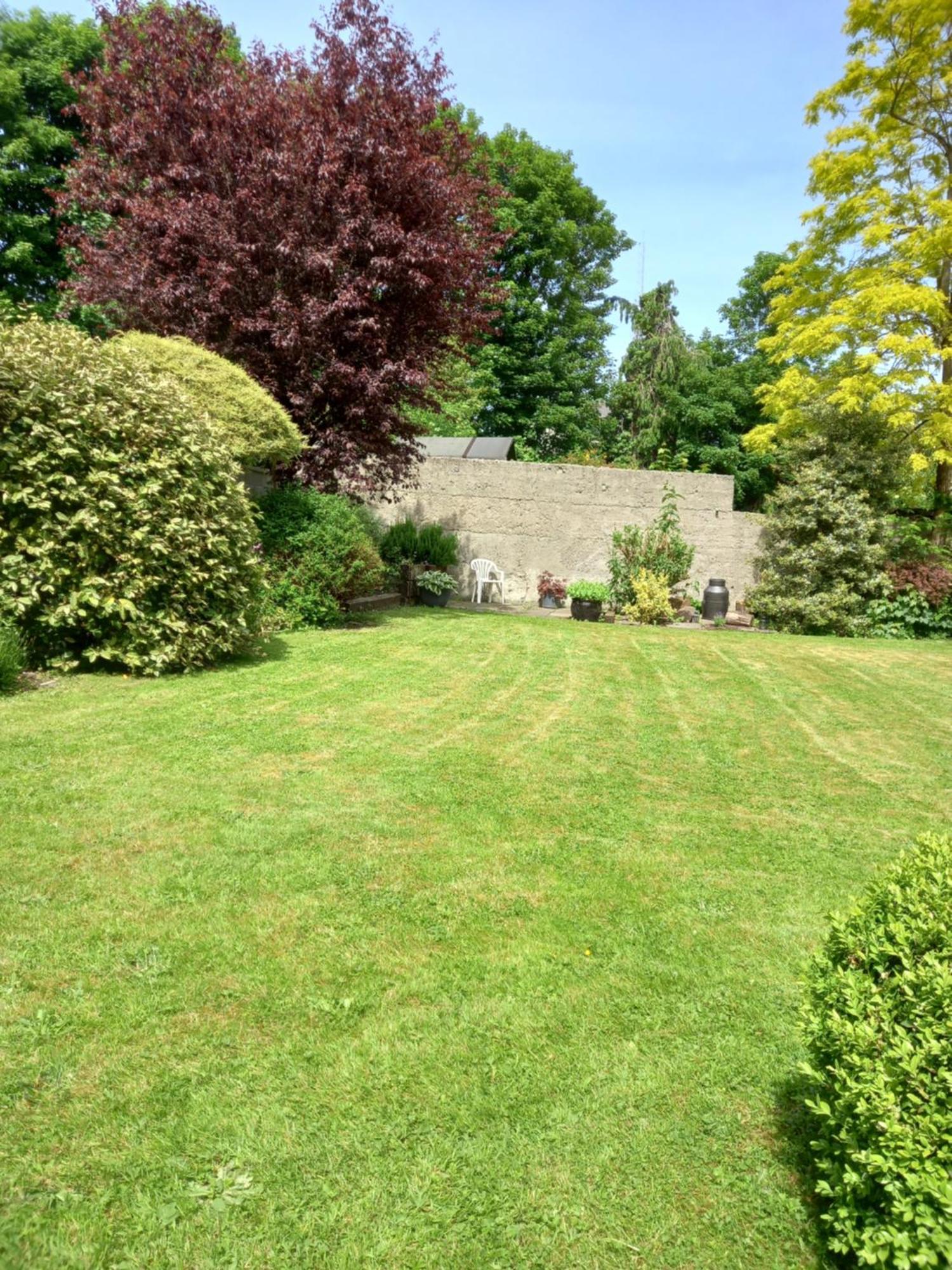 Carraig Rua Bed & Breakfast Kilkenny Dış mekan fotoğraf