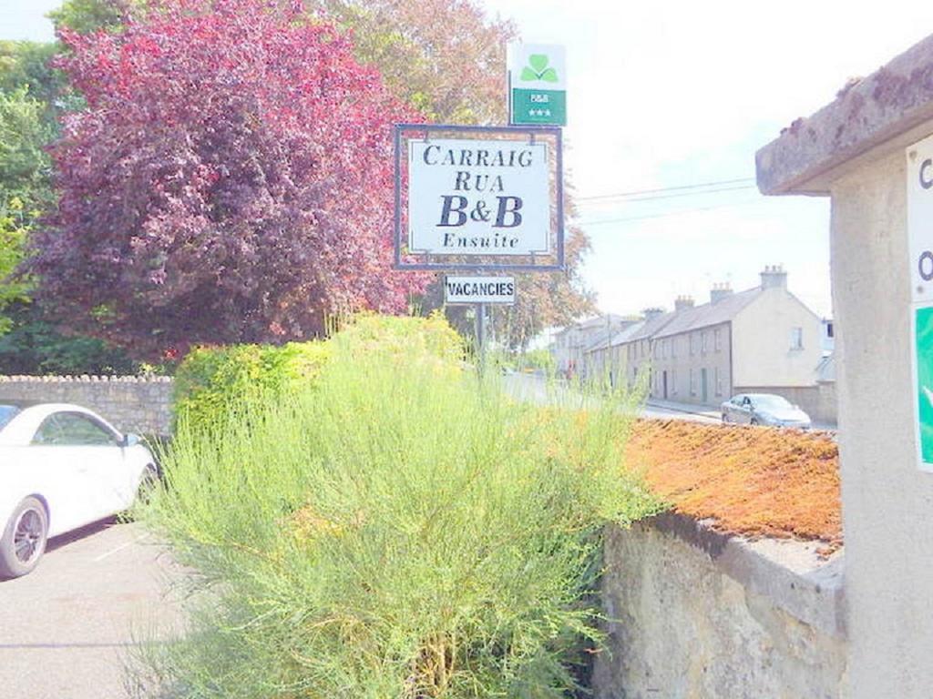 Carraig Rua Bed & Breakfast Kilkenny Dış mekan fotoğraf